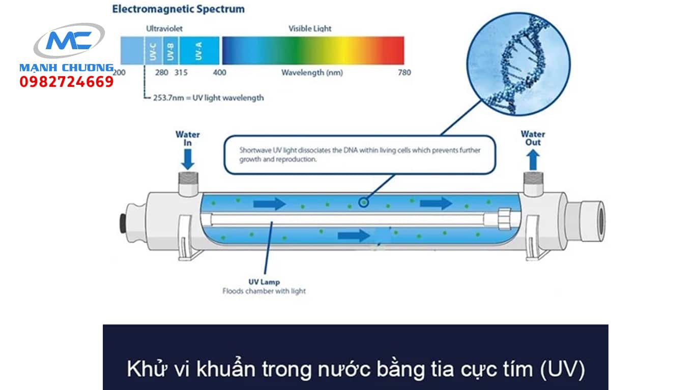 xử lý nước hồ bơi bằng tia uv